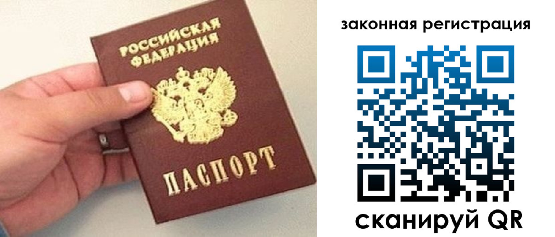 прописка для школы в Протвино